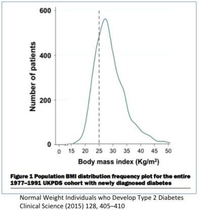 Diabesity: Why Diabetes and Obesity Stem From the Same Problem