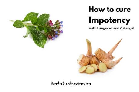 Lungwort and galangal to cure ED - how to cure impotency with home remedies