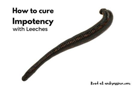 Ed therapy with leeches