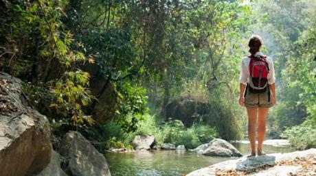 The Next Eastern Therapy forest-bathing-is-the-latest-fitness-trend-to-hit-us