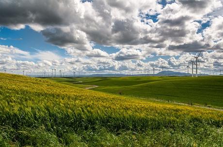 wind-farm-wind-turbine-electricity wind-farm-wind-turbine-electricity