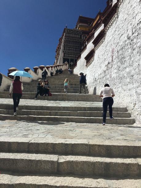The Roof of the World: Why Travelling to Tibet Should Be On Your Bucket list! ava-potala-palace
