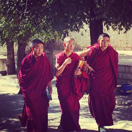 The Roof of the World: Why Travelling to Tibet Should Be On Your Bucket list! monks-jokhang-monastery