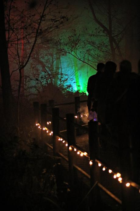 The Glorious Glowing Lantern Parade at BeWILDerwood | Review