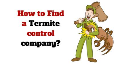 how-to-find-a-termitecontrol-company