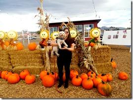 Pumpkin Patch Archie Pumpkin Patch Archie