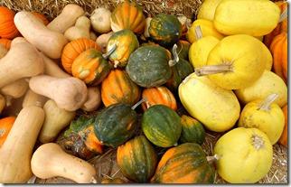 pumpkin stu millers las vegas pumpkin stu millers las vegas