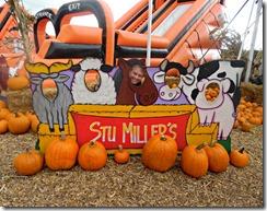 stu millers pumpkin patch henderson stu millers pumpkin patch henderson
