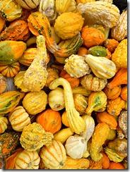 gourds las vegas stu millers gourds las vegas stu millers
