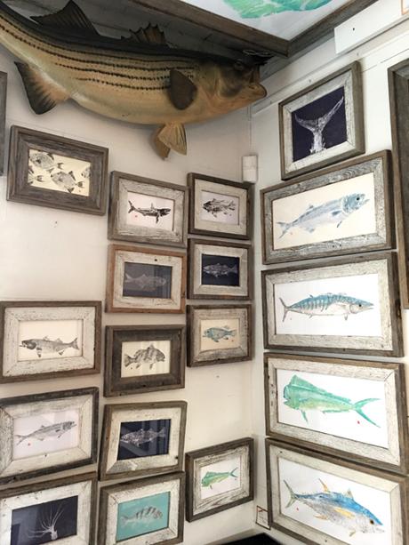 Japanese Fish Prints By Nantucket Artist Peter Van Dingstee
