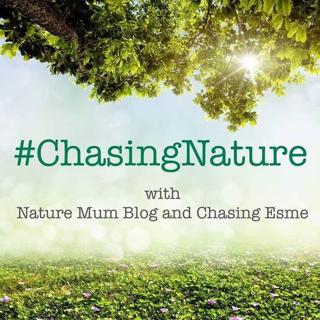 Nature Mum Blog