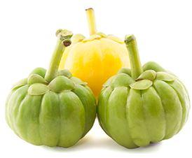 garcinia fruit taste garcinia fruit taste