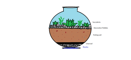 DIY:Make your own terrarium