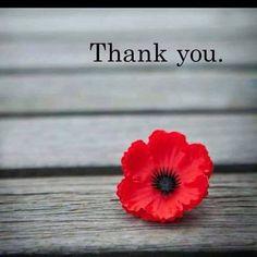Thank you. Remembrance Sunday 2016