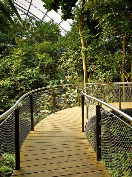 Garden of the week – Masoala Rainforest Masoala Rainforest