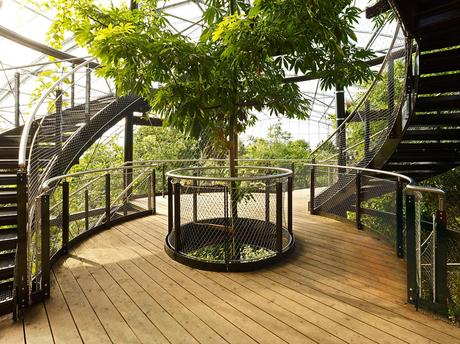 Garden of the week – Masoala Rainforest Masoala Rainforest