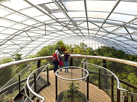 Garden of the week – Masoala Rainforest Masoala Rainforest