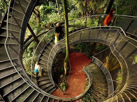 Garden of the week – Masoala Rainforest Masoala Rainforest
