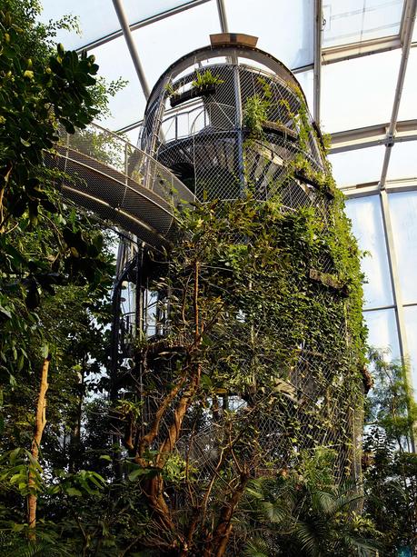 Garden of the week – Masoala Rainforest Masoala Rainforest