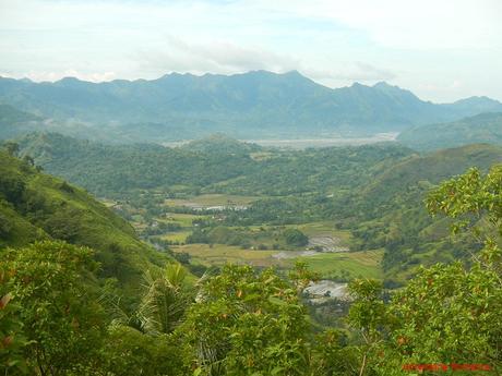 Antique Rice Terraces