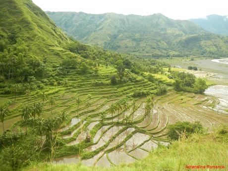 Antique Rice Terraces