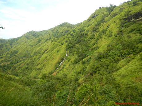 Antique Rice Terraces