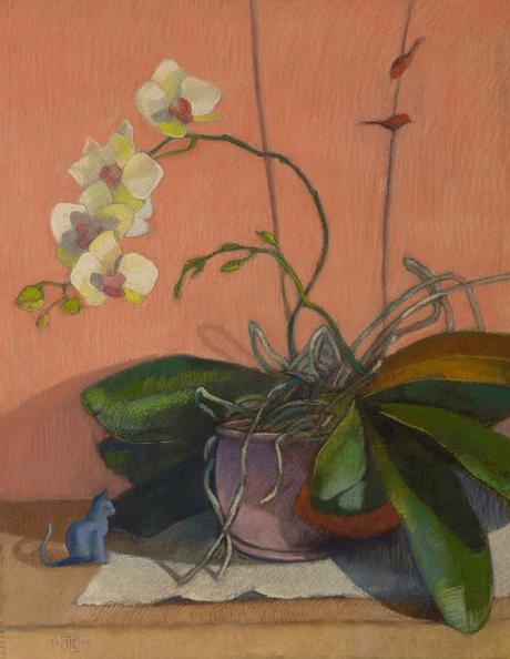 An Orchid Study