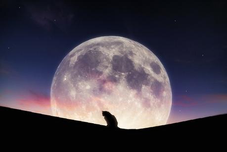 The Super Moon: A Slice of Life Post