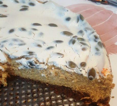 WIN THANKSGIVING WITH THIS PUMPKIN SEED PUMPKIN CHEESECAKE