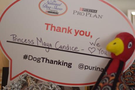 How will you be #Dogthanking this year?