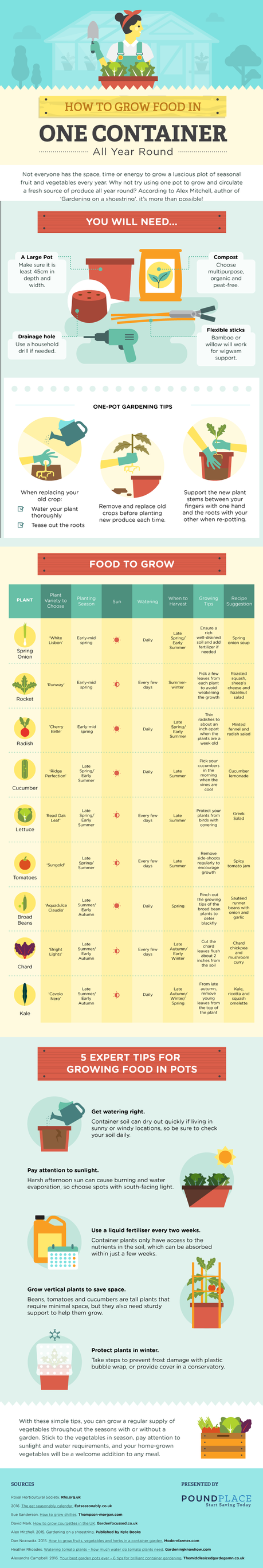 How to grow food all year round - infographic