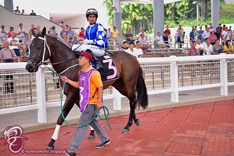 My Virgin Trip To Singapore Turf Club For The Dester Singapore Gold Cup 2016