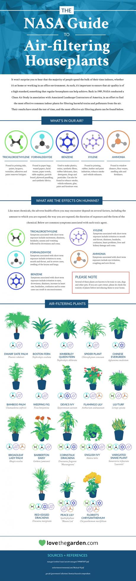 NASA reveals the 18 best houseplants for filtering your air Air filtering plants infographic