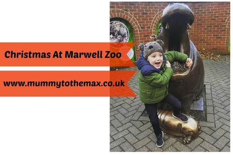 Christmas At Marwell Zoo