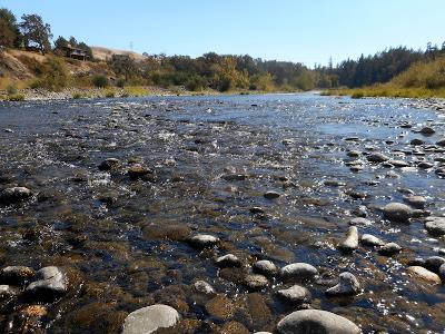 River Trip ~~ Part Three River Trip ~~ Part Three