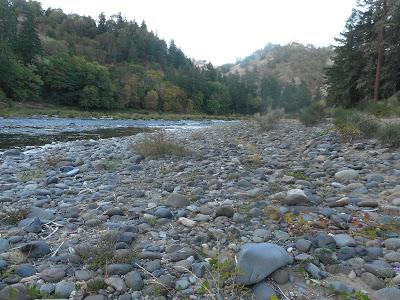 River Trip ~~ Part Three River Trip ~~ Part Three