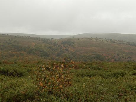 Leading on the Quantocks – October 2016