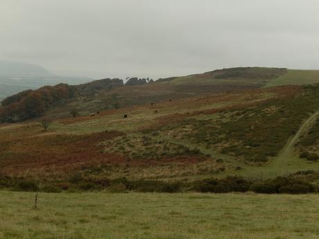 Leading on the Quantocks – October 2016