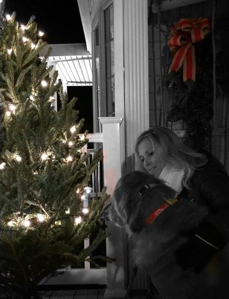 Merry and Bright #BlackandWhiteSunday golden retriever dog decorating Christmas tree