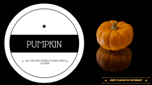 All You Ever Wanted to Know About a Pumpkin