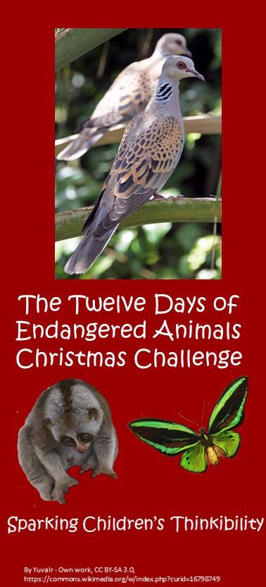 The Twelve Days of Endangered Animals Christmas Challenge – Day 4