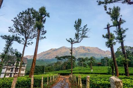 Munnar: Visiting The Highlands of Kerala Munnar: Visiting The Highlands of Kerala