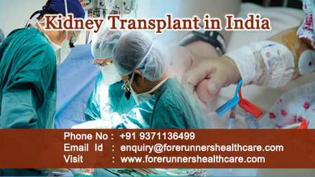 Kidney TransplantIndia : Procedure, Packages and Medical Assistance