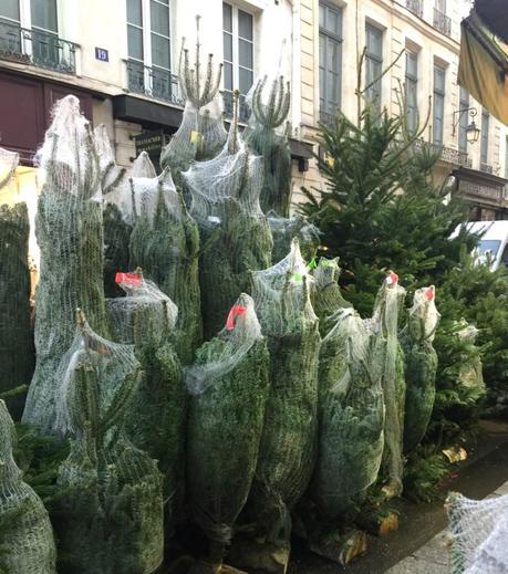 Christmas trees for sale in Paris