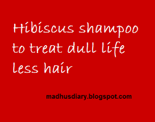 hibiscus shampoo