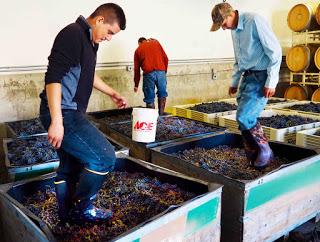 Oregon Wine: It's Not All Pinot Noir