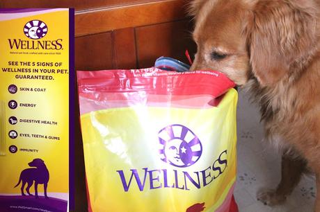 5 signs of wellness in your pet with Wellness Complete Health Dog Food