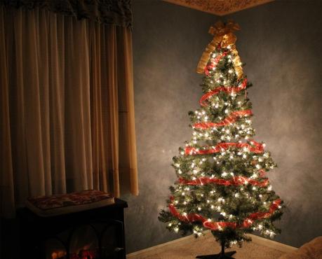  Illuminated Christmas tree in room
