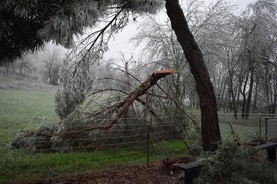 The December Ice Storm