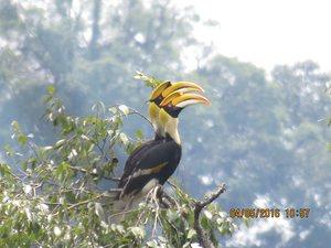 Wildlife Conservation Society’s favourite pictures of 2016 Wildlife Conservation Society’s favourite pictures of 2016